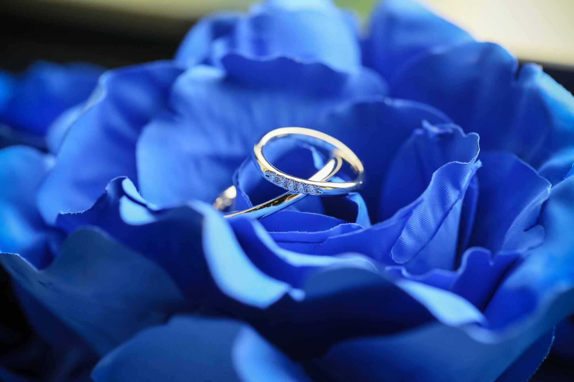 Wedding Planning and Execution